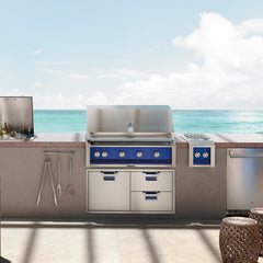 Aspire by Hestan 30-Inch 2-Burner Built-In Gas Grill with Rotisserie