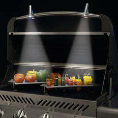 Napoleon Clip-On LED Light Set